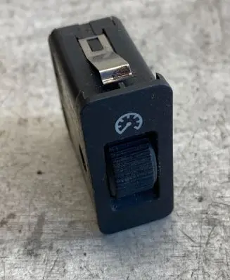 Panel lighting control switch