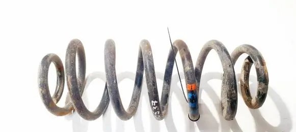 Rear coil spring