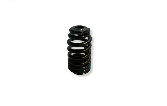 Dodge Challenger Valve spring 