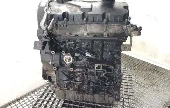 Volkswagen Golf V Engine BXE