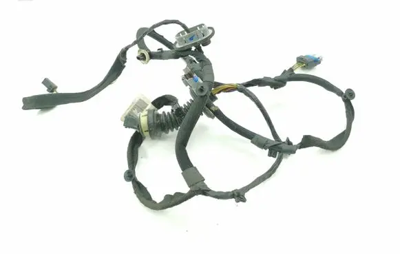 Rear door wiring loom