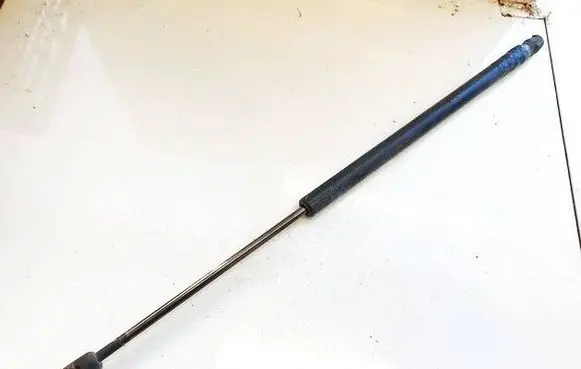 Tailgate/trunk strut/damper