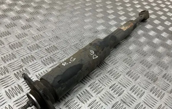 Dodge Charger Rear shock absorber/damper 52830