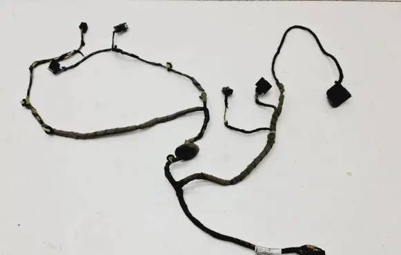 Front door wiring loom