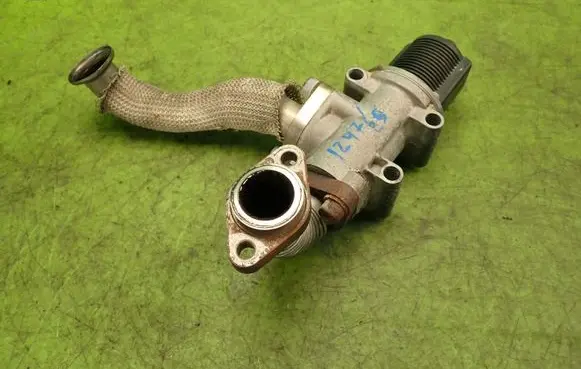 Fiat Bravo EGR valve 50024005