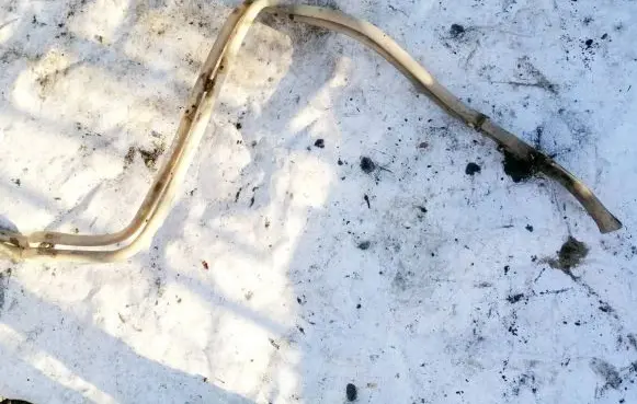 Volkswagen Transporter - Caravelle T4 Engine coolant pipe/hose 701819876