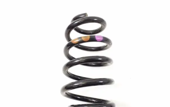 Rear coil spring