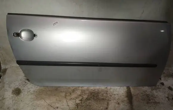 Volkswagen Golf V Front door pilkos