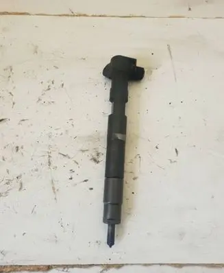 Mercedes-Benz E A207 Fuel injector 28308779 A6510703287 1630701381866