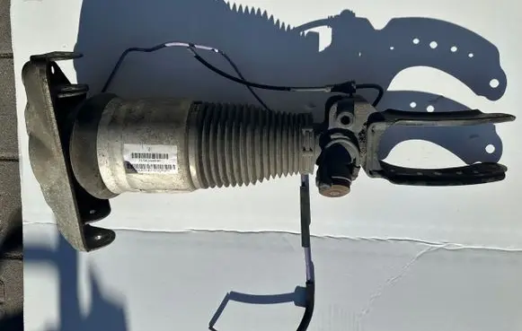 Porsche Cayenne (9PA) Rear shock absorber with coil spring 