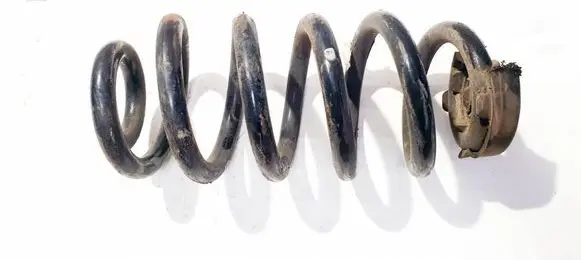 Rear coil spring