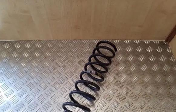 Ford Focus Rear coil spring