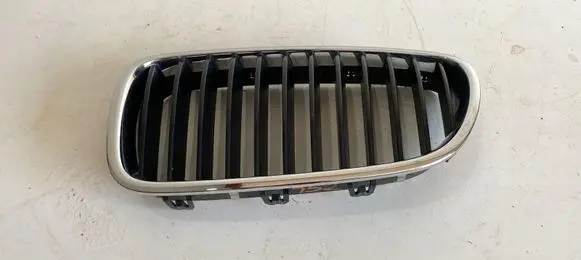 BMW 5 F10 F11 Front grill 51137200727