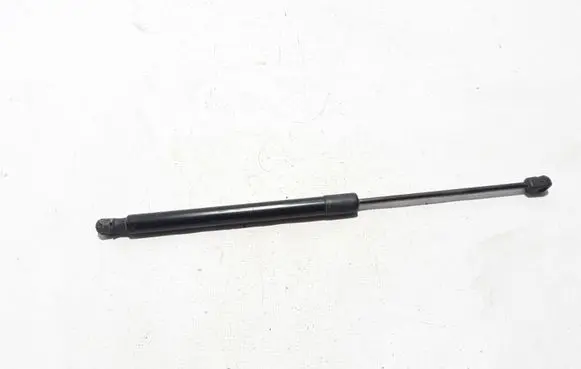 Tailgate strut