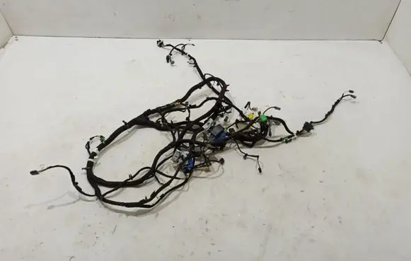 Land Rover Evoque I Panel wiring BJ3214401DD
