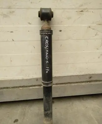Opel Crossland X Rear shock absorber/damper 9821016880
