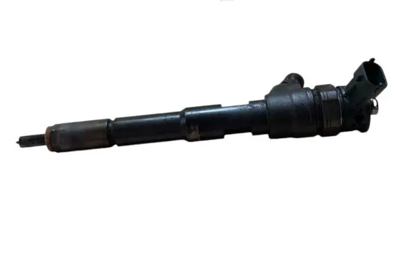 Renault Kangoo II Fuel injector 0445110485 H8201108033
