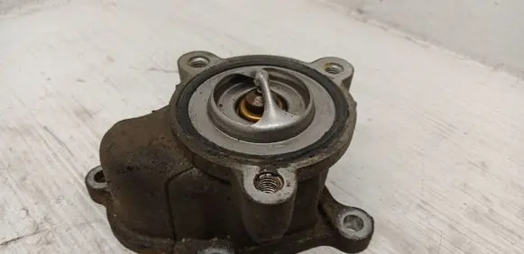 Thermostat/thermostat housing