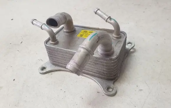 KIA Sportage Oil filter mounting bracket 256103D110