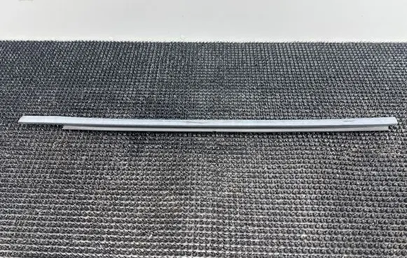Dodge Durango III Rear door trim (molding)
