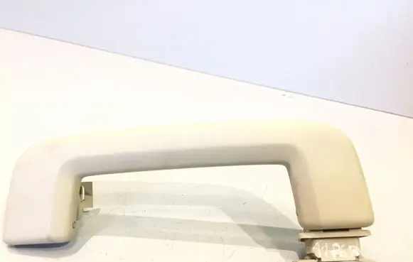 Front interior roof grab handle