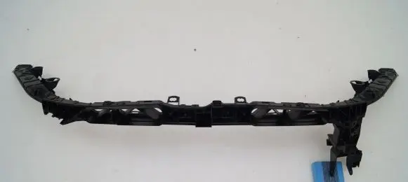 Engine bonnet/hood lock trim molding