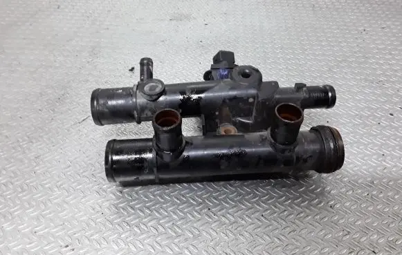Thermostat/thermostat housing
