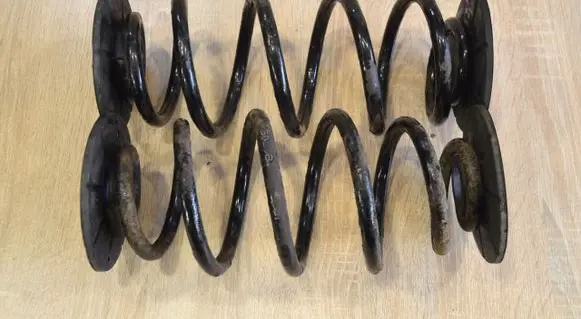 Rear coil spring