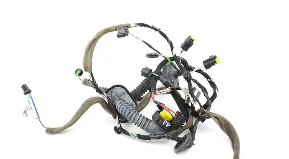 Renault Laguna III Front door wiring loom 241243343R