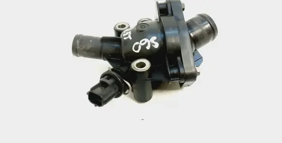 Thermostat/thermostat housing