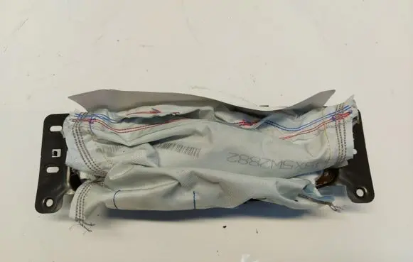 Ford Mustang Mach-E Seat airbag LJ7B-S042A00-AD