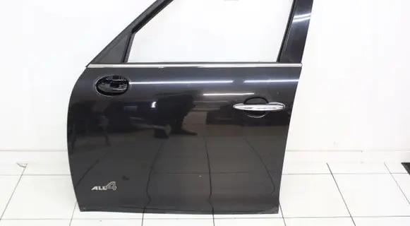 Mini Cooper Countryman R60 Rear door