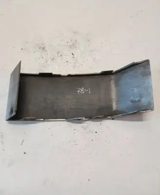 Rear/tail light trim molding