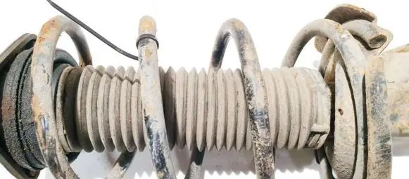Ford Focus Front coil spring