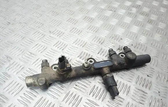 Peugeot 406 Fuel main line pipe 0445214010