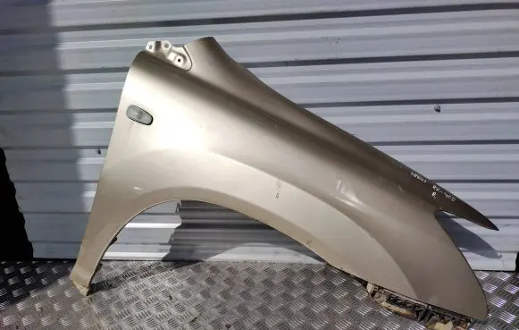 Fender