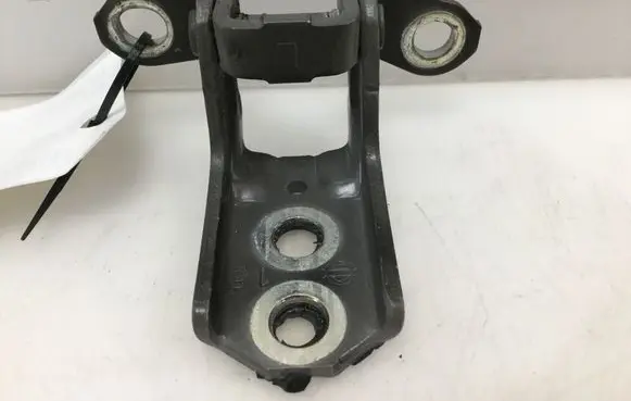 Nissan Juke I F15 Front door lower hinge 