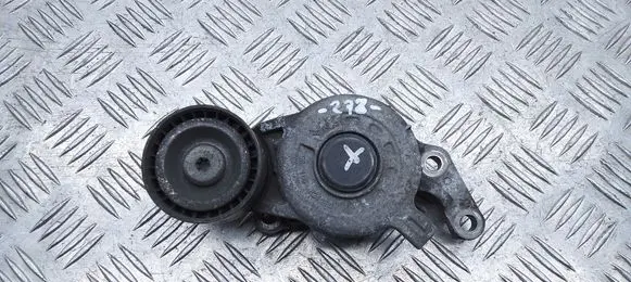 Citroen Jumpy Alternator belt tensioner 9816682480
