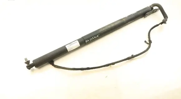 Tailgate/trunk strut/damper