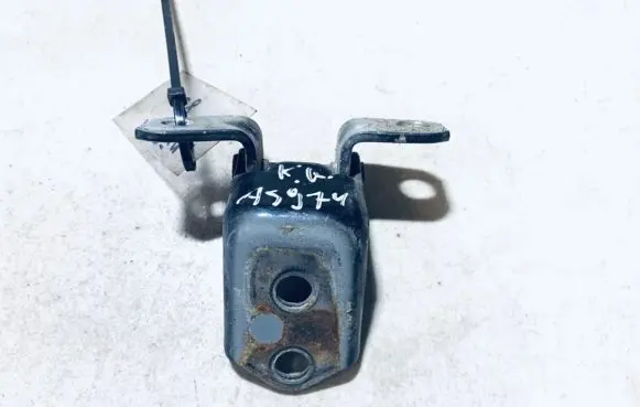 Rear door lower hinge