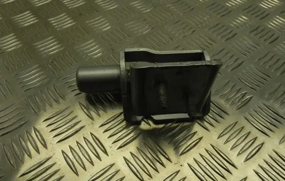 Renault Zoe Rear door upper hinge ES71