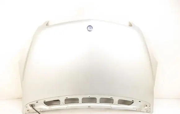 Engine bonnet/hood