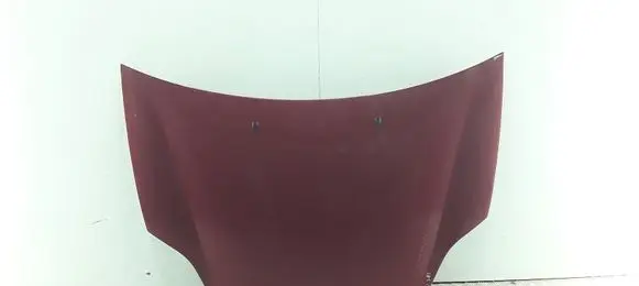 Engine bonnet/hood