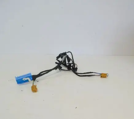 Front door wiring loom