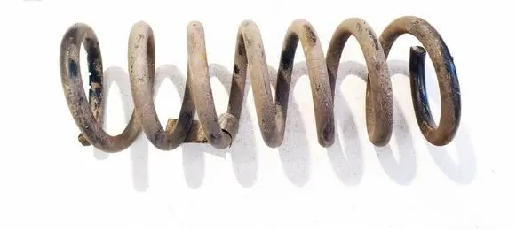 Ford C-MAX II Rear coil spring DV615560FHB