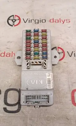 Fuse module