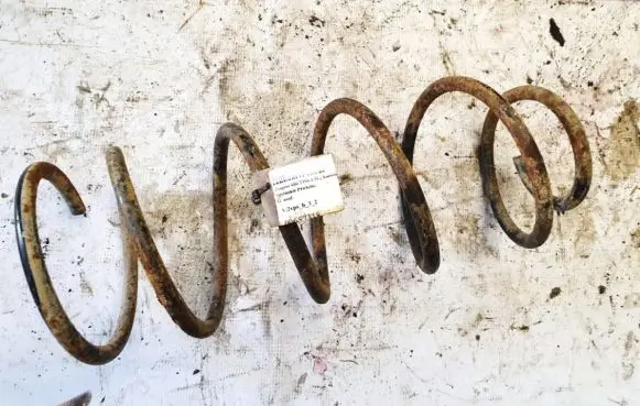 Peugeot 406 Front coil spring