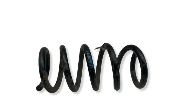 Tesla Model Y Rear coil spring 118847600B