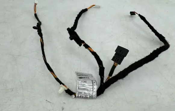 Rear door wiring loom
