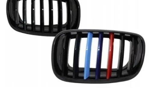 BMW X6 E71 Front grill